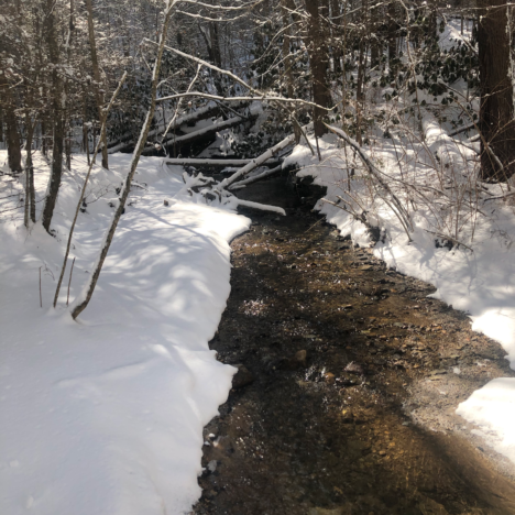 Summer 2021 Grand Adventure