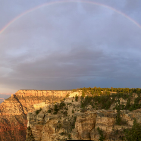 The Grand Canyon or Bust